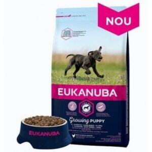 Eukanuba Puppy Large cu Pui